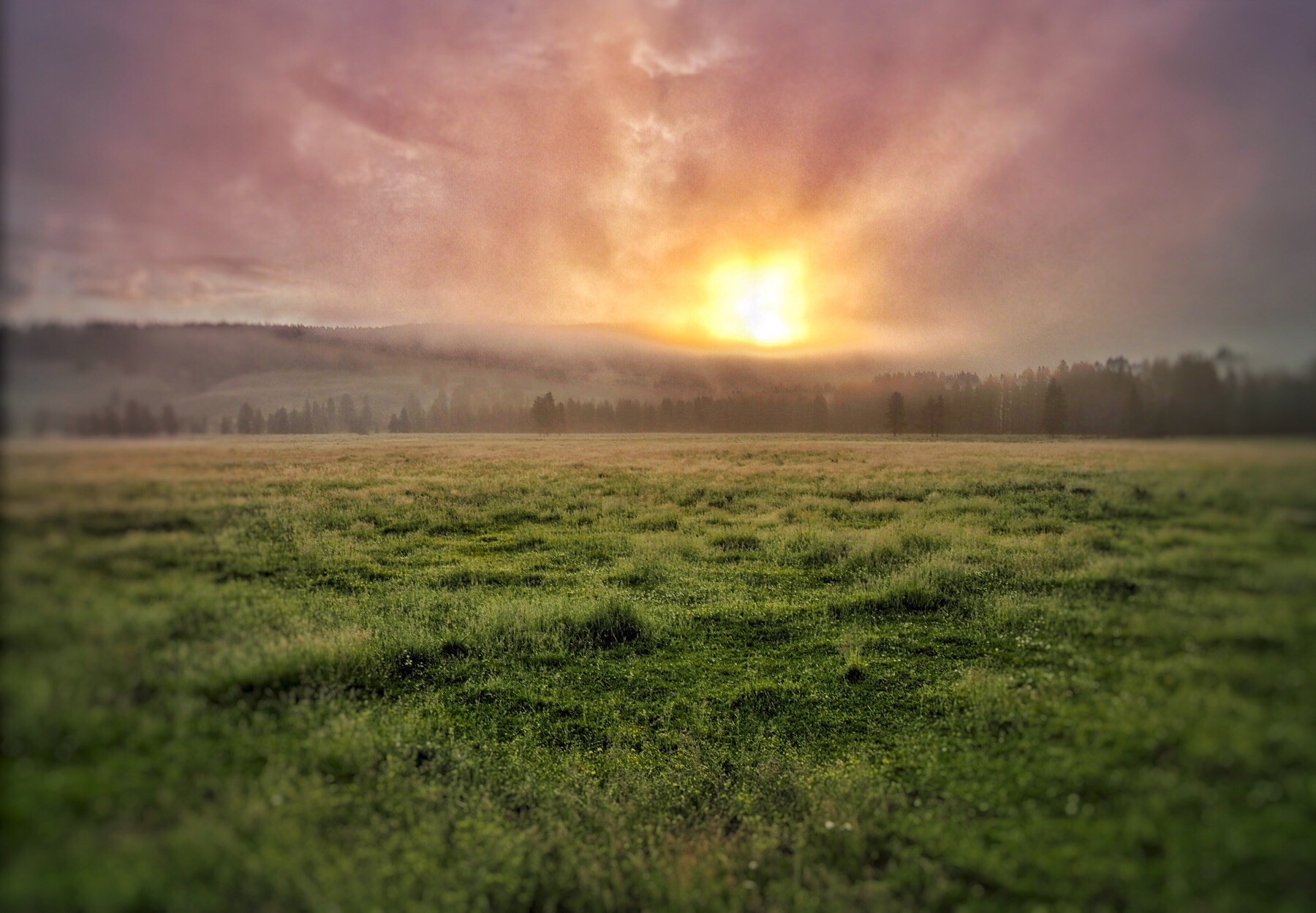 Sunrise in the Lamar Valley